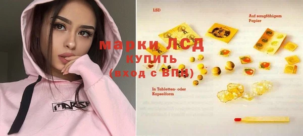 СК Ельня